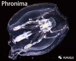 undefined 体育博彩